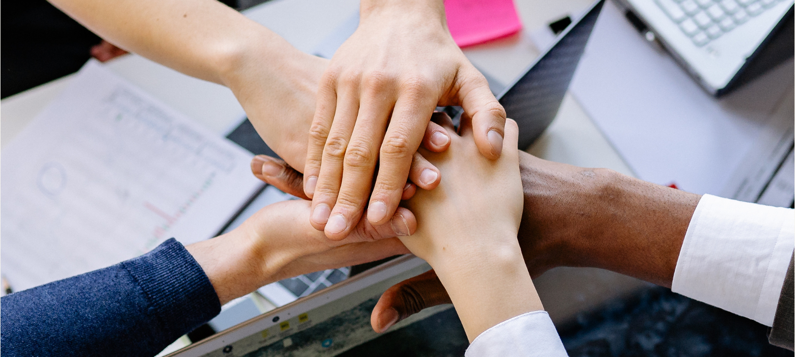 Culture Alignment & Team Effectiveness